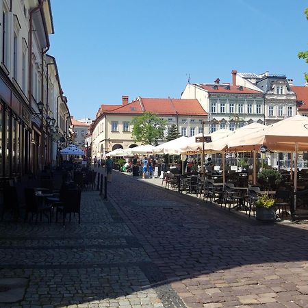 Apartamenty Orkana Bielsko-Biala Bagian luar foto