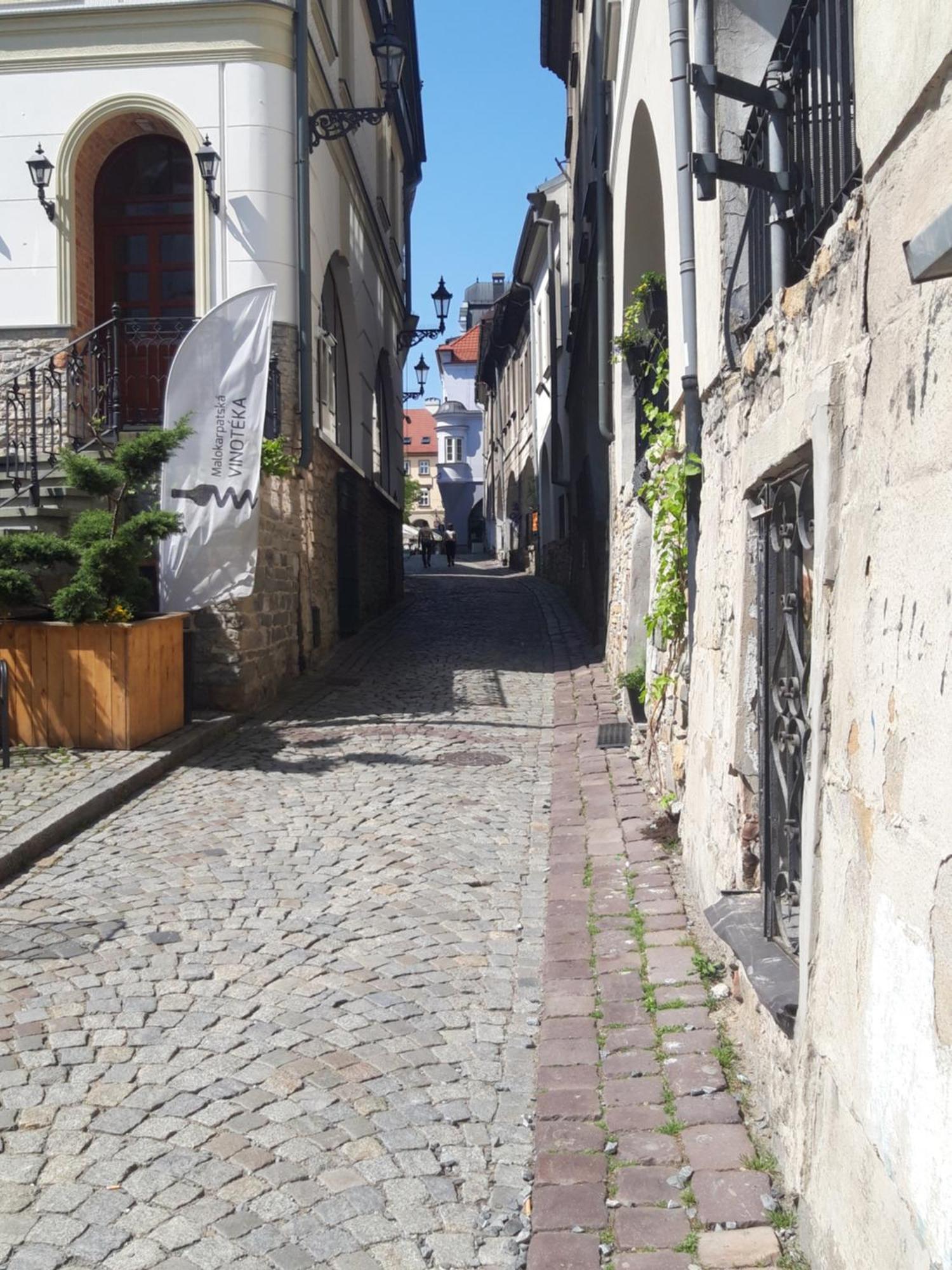 Apartamenty Orkana Bielsko-Biala Bagian luar foto