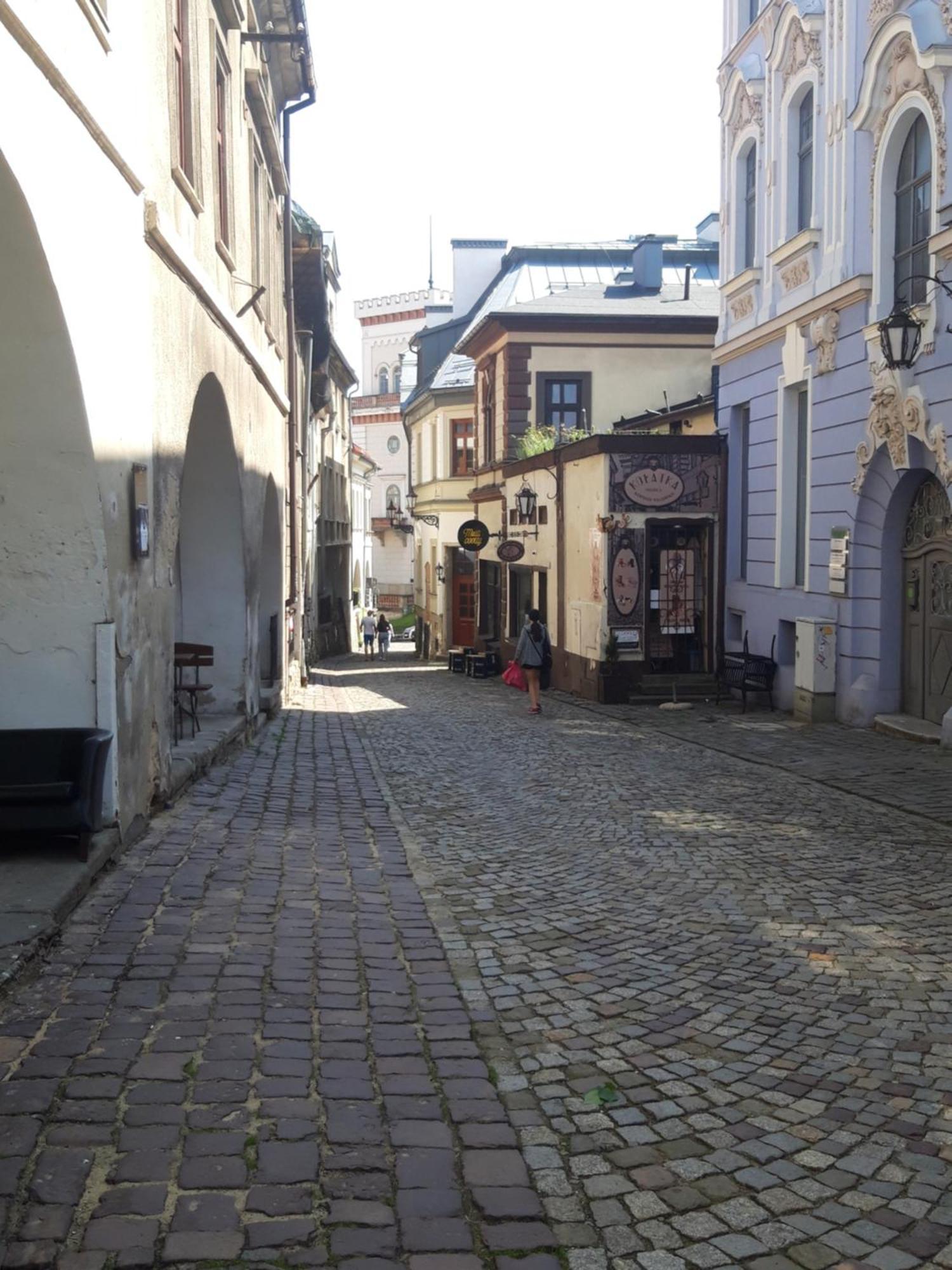 Apartamenty Orkana Bielsko-Biala Bagian luar foto